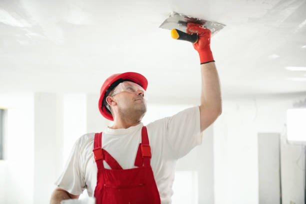 Best Drywall Texturing  in Green Cove Springs, FL