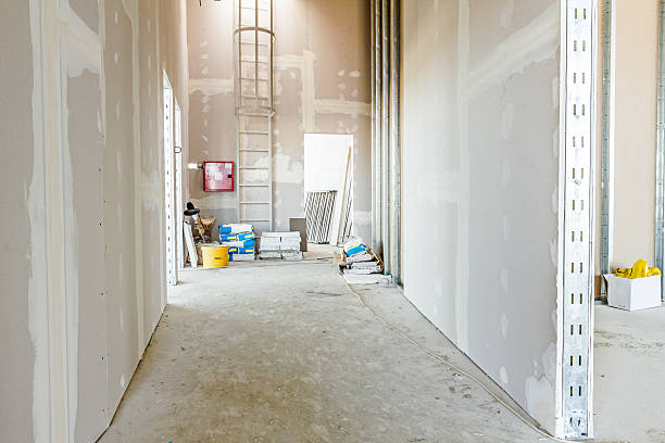 Best Water-Damaged Drywall Repair  in Green Cove Springs, FL